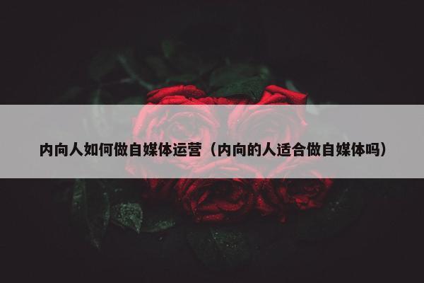 内向人如何做自媒体运营（内向的人适合做自媒体吗）