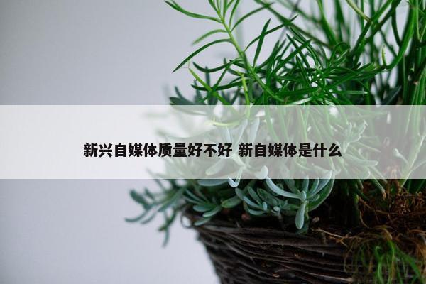 新兴自媒体质量好不好 新自媒体是什么