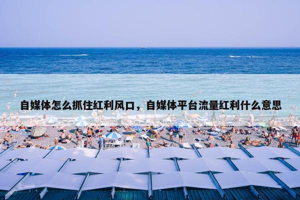 自媒体怎么抓住红利风口，自媒体平台流量红利什么意思