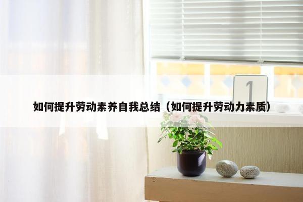 如何提升劳动素养自我总结（如何提升劳动力素质）