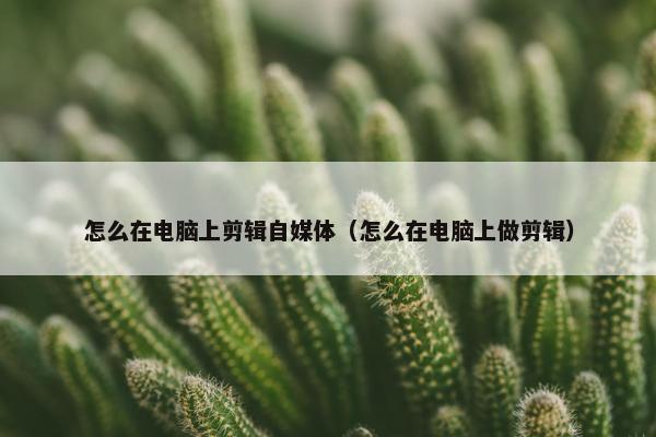 怎么在电脑上剪辑自媒体（怎么在电脑上做剪辑）