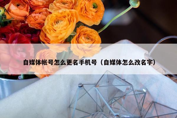 自媒体帐号怎么更名手机号（自媒体怎么改名字）