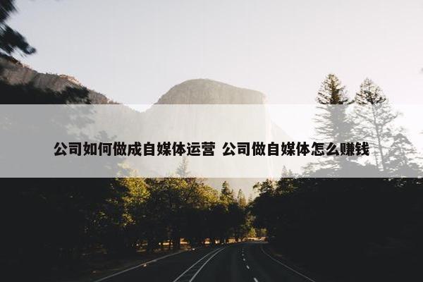 公司如何做成自媒体运营 公司做自媒体怎么赚钱