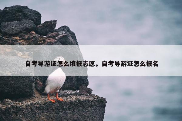 自考导游证怎么填报志愿，自考导游证怎么报名