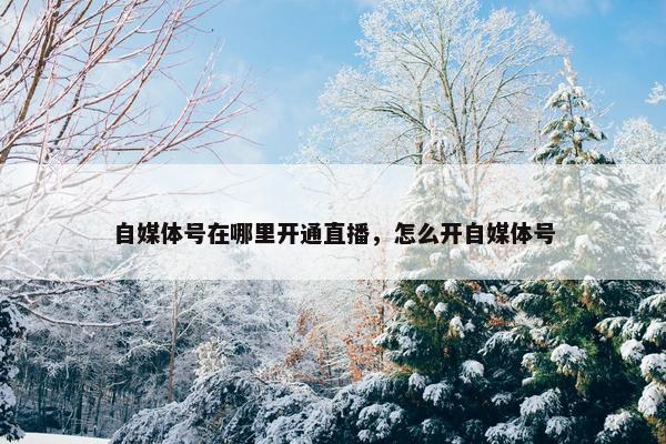 自媒体号在哪里开通直播，怎么开自媒体号