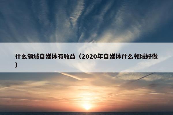 什么领域自媒体有收益（2020年自媒体什么领域好做）