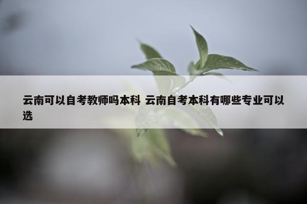 云南可以自考教师吗本科 云南自考本科有哪些专业可以选