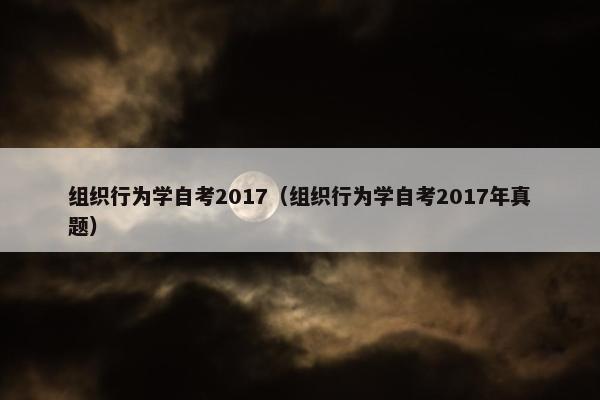 组织行为学自考2017（组织行为学自考2017年真题）