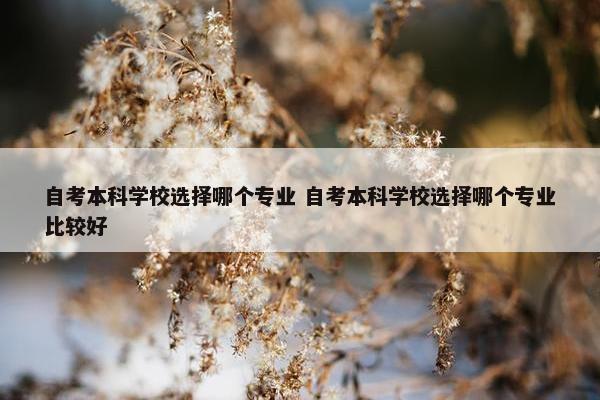 自考本科学校选择哪个专业 自考本科学校选择哪个专业比较好