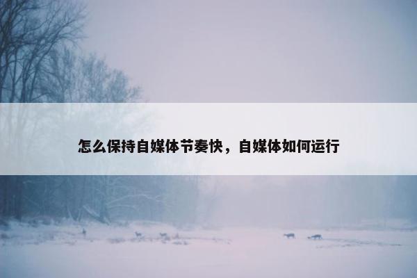 怎么保持自媒体节奏快，自媒体如何运行