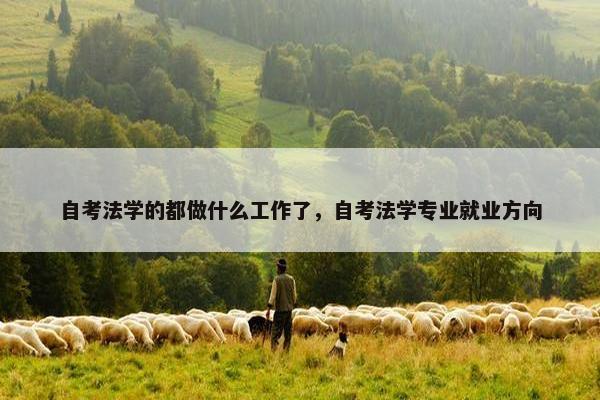 自考法学的都做什么工作了，自考法学专业就业方向