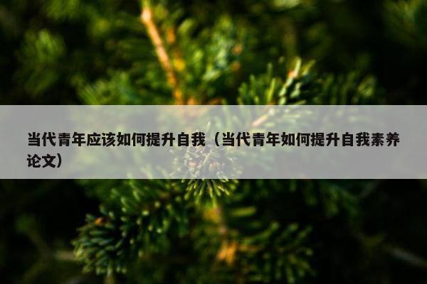 当代青年应该如何提升自我（当代青年如何提升自我素养论文）