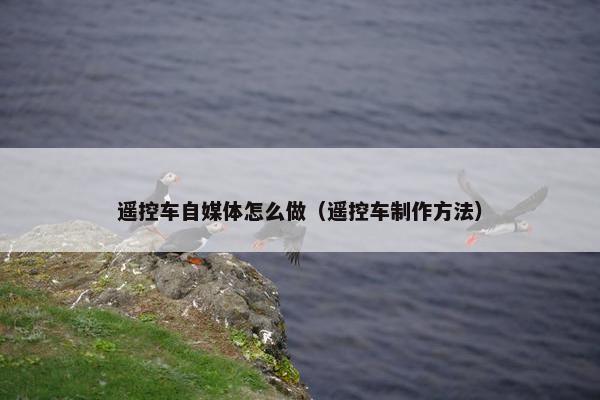 遥控车自媒体怎么做（遥控车制作方法）