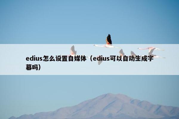 edius怎么设置自媒体（edius可以自动生成字幕吗）