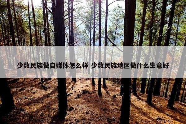 少数民族做自媒体怎么样 少数民族地区做什么生意好