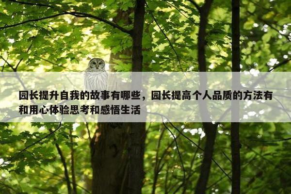 园长提升自我的故事有哪些，园长提高个人品质的方法有和用心体验思考和感悟生活