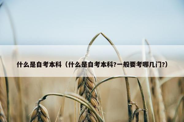 什么是自考本科（什么是自考本科?一般要考哪几门?）