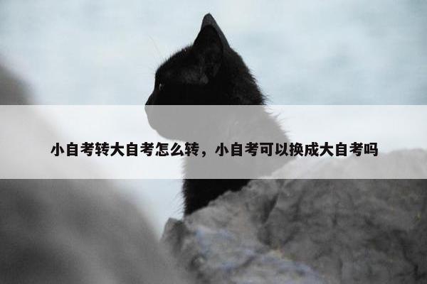 小自考转大自考怎么转，小自考可以换成大自考吗