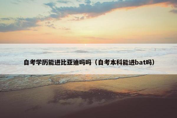 自考学历能进比亚迪吗吗（自考本科能进bat吗）