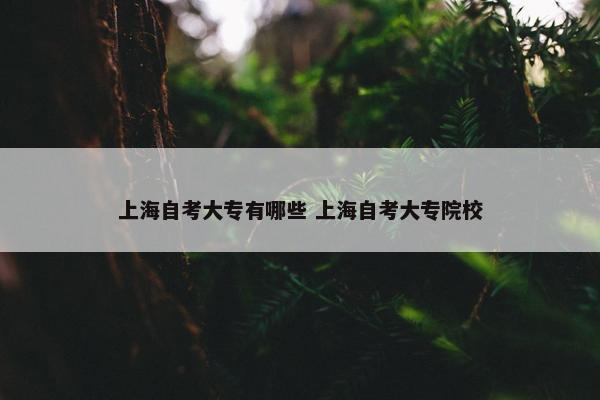 上海自考大专有哪些 上海自考大专院校