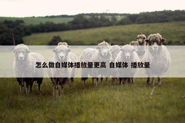 怎么做自媒体播放量更高 自媒体 播放量