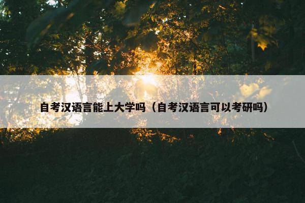 自考汉语言能上大学吗（自考汉语言可以考研吗）