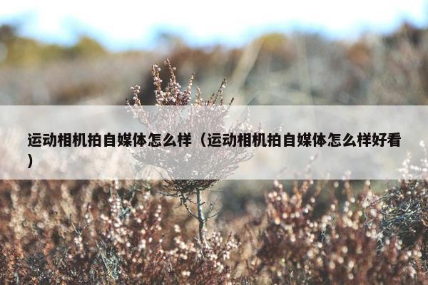 运动相机拍自媒体怎么样（运动相机拍自媒体怎么样好看）