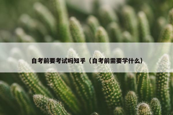 自考前要考试吗知乎（自考前需要学什么）