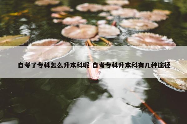 自考了专科怎么升本科呢 自考专科升本科有几种途径