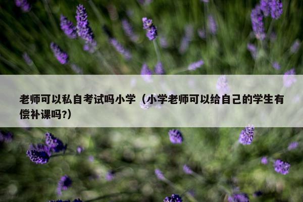 老师可以私自考试吗小学（小学老师可以给自己的学生有偿补课吗?）