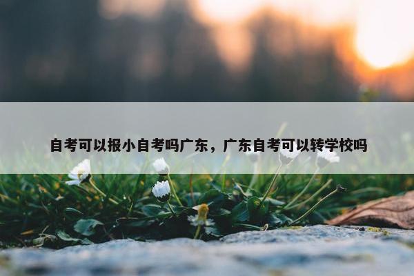 自考可以报小自考吗广东，广东自考可以转学校吗