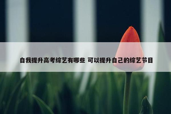 自我提升高考综艺有哪些 可以提升自己的综艺节目