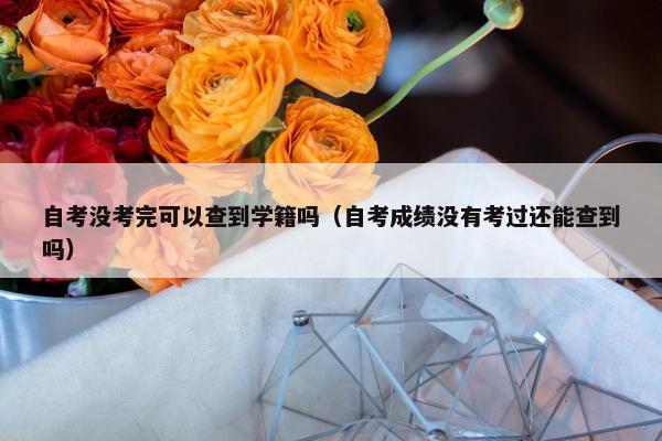 自考没考完可以查到学籍吗（自考成绩没有考过还能查到吗）