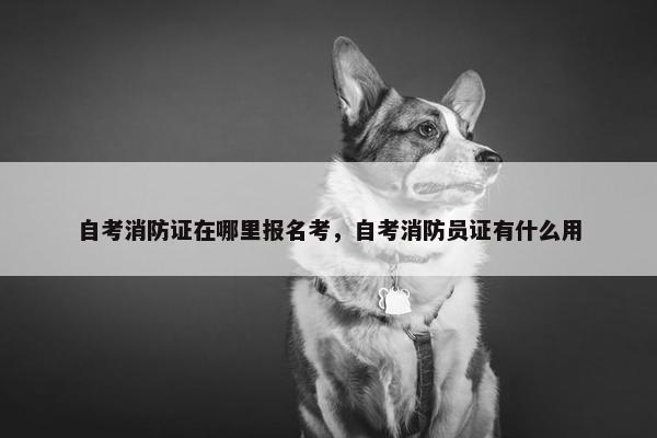 自考消防证在哪里报名考，自考消防员证有什么用