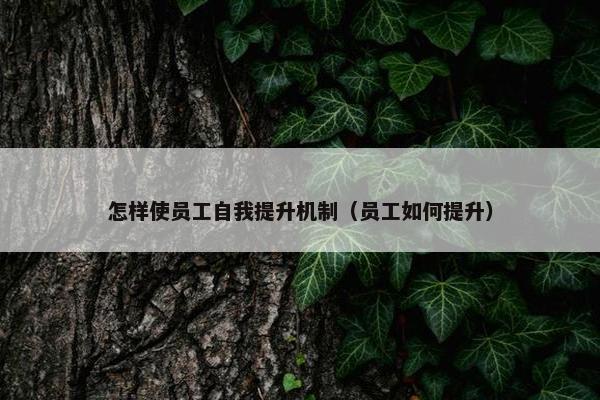 怎样使员工自我提升机制（员工如何提升）