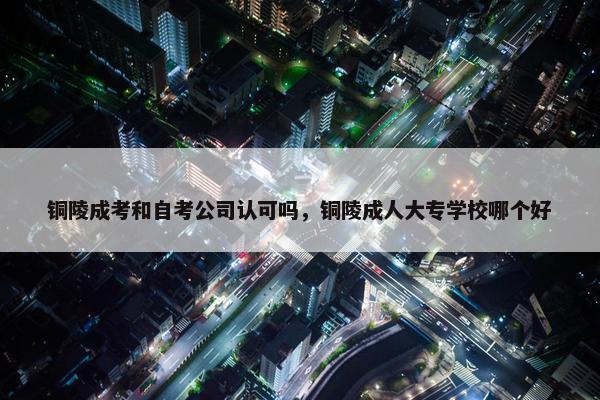 铜陵成考和自考公司认可吗，铜陵成人大专学校哪个好