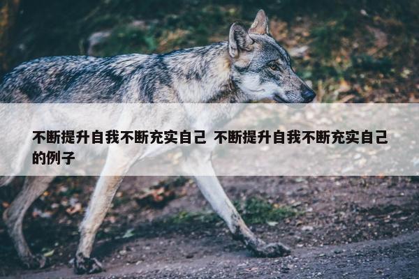 不断提升自我不断充实自己 不断提升自我不断充实自己的例子