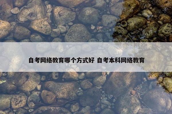 自考网络教育哪个方式好 自考本科网络教育