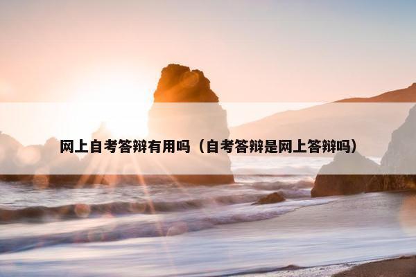 网上自考答辩有用吗（自考答辩是网上答辩吗）