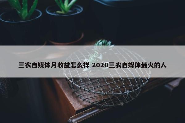 三农自媒体月收益怎么样 2020三农自媒体最火的人