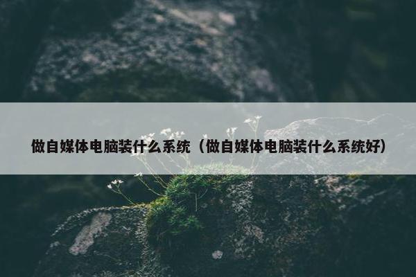 做自媒体电脑装什么系统（做自媒体电脑装什么系统好）