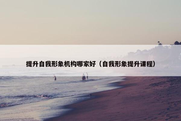 提升自我形象机构哪家好（自我形象提升课程）