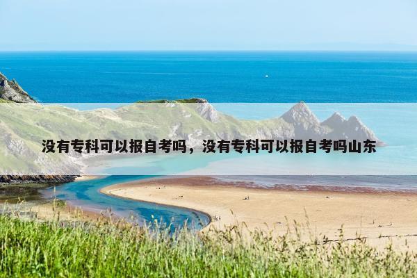 没有专科可以报自考吗，没有专科可以报自考吗山东