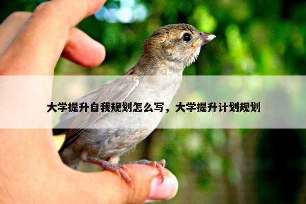 大学提升自我规划怎么写，大学提升计划规划