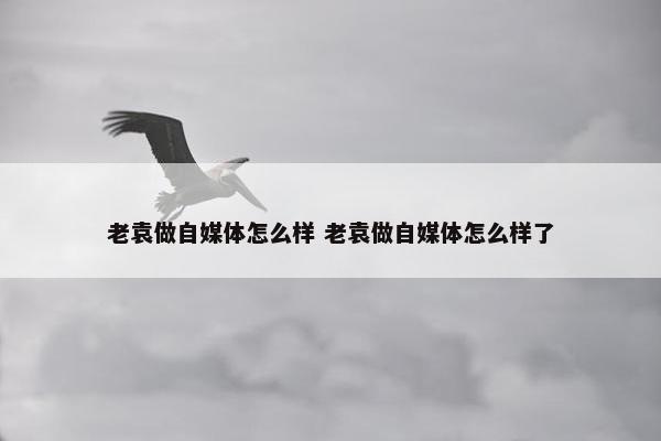 老袁做自媒体怎么样 老袁做自媒体怎么样了