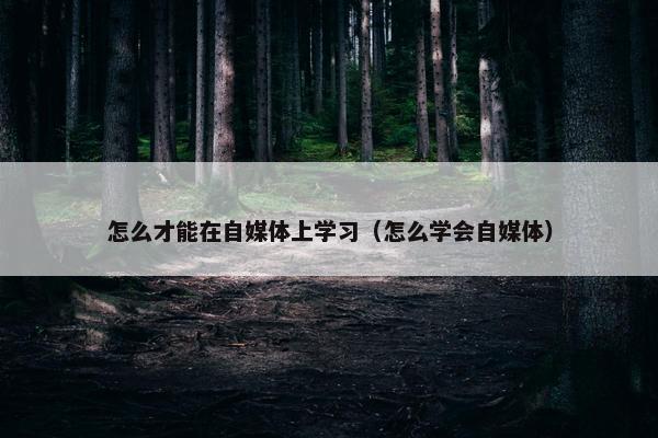 怎么才能在自媒体上学习（怎么学会自媒体）