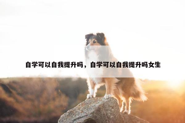 自学可以自我提升吗，自学可以自我提升吗女生