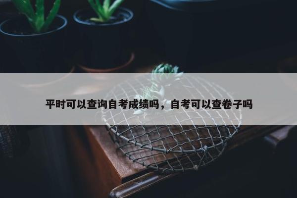 平时可以查询自考成绩吗，自考可以查卷子吗