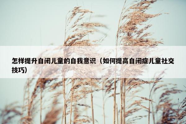 怎样提升自闭儿童的自我意识（如何提高自闭症儿童社交技巧）