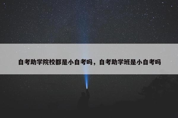 自考助学院校都是小自考吗，自考助学班是小自考吗